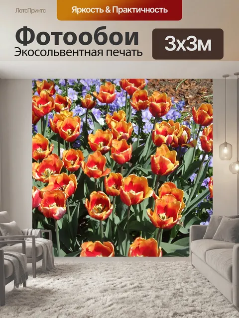 Фотообои Тюльпаны