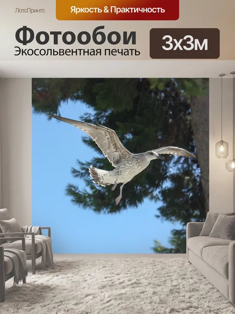 Фотообои Птица