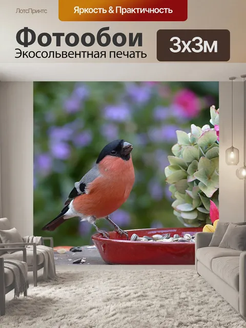Фотообои Животное