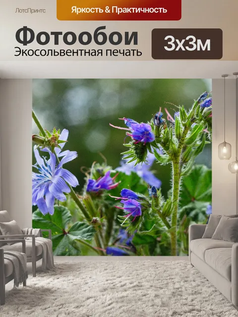 Фотообои Цветы