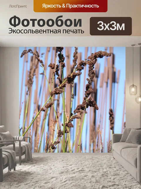 Фотообои Цветы