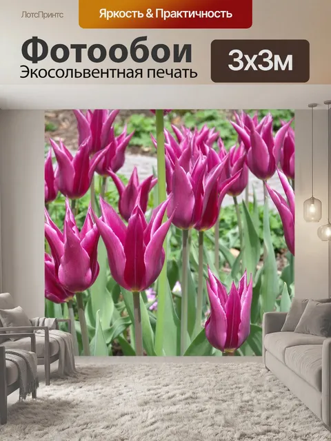 Фотообои Остров майнау