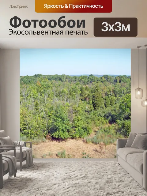 Фотообои Деревья в парке