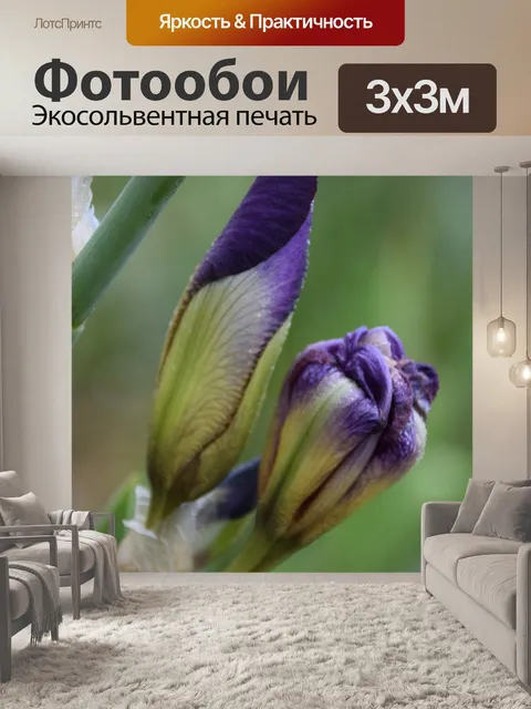 Фотообои Ирис