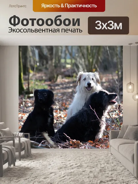 Фотообои Весна