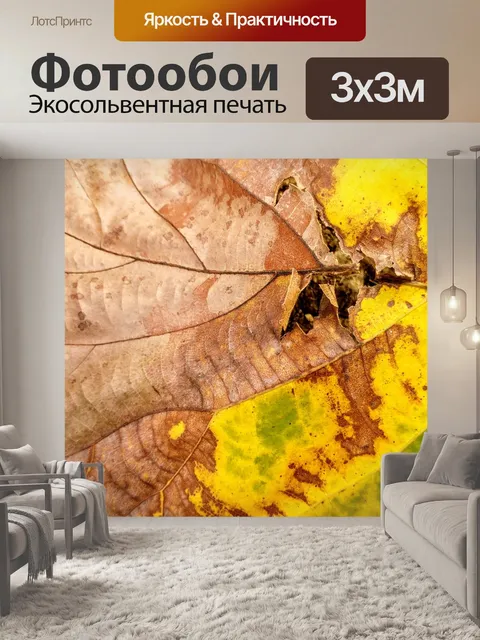 Фотообои Сухой лист