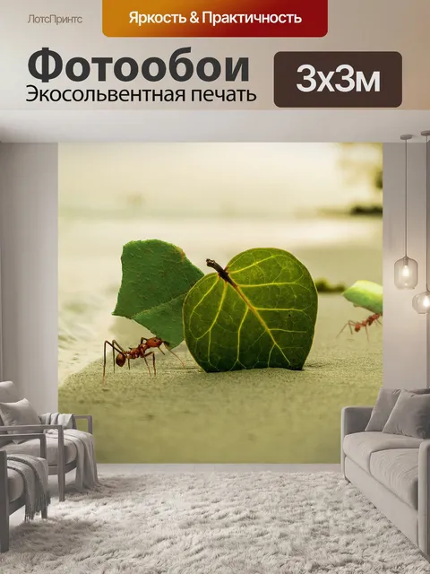 Фотообои Лист