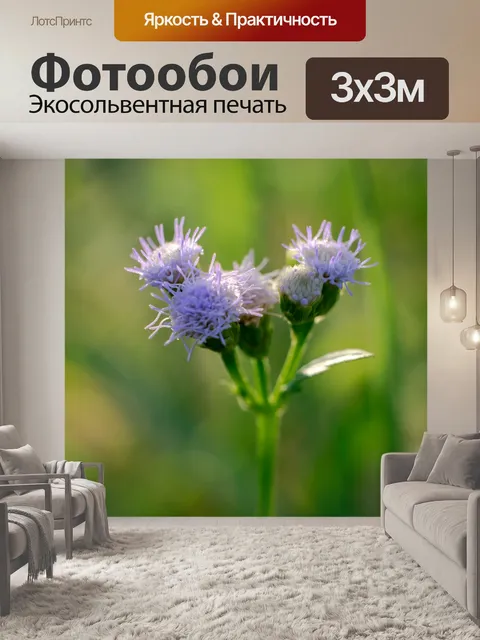 Фотообои Цветы