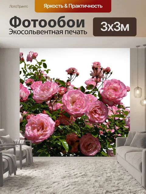 Фотообои Розы