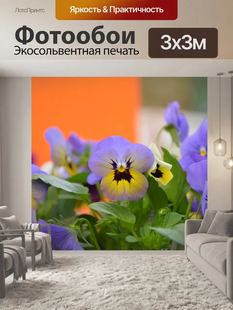 Фотообои Цветы
