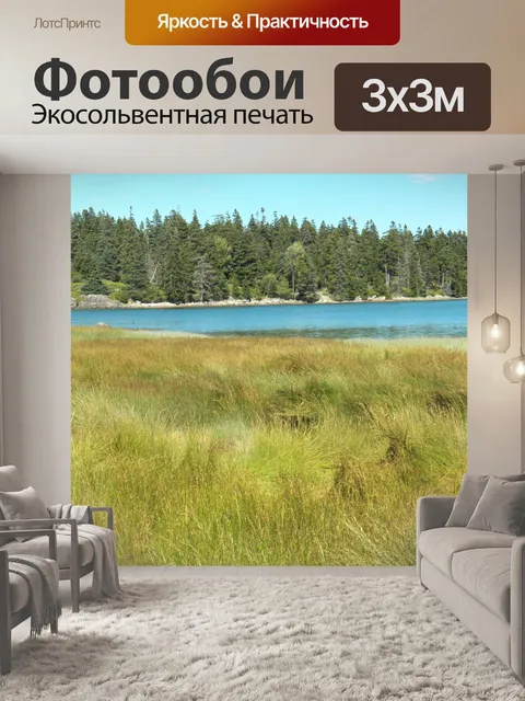 Фотообои Морская трава