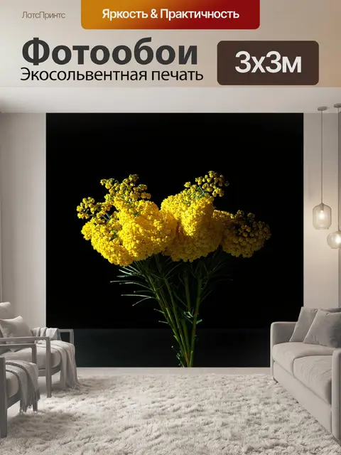 Фотообои изобразите мимозу на мрачном фоне, где цветы ярко выделяются на тёмной поверхности, создавая контраст