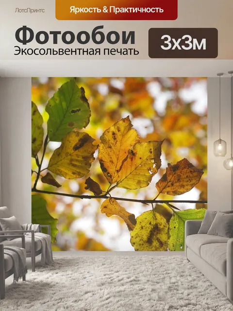 Фотообои Осень
