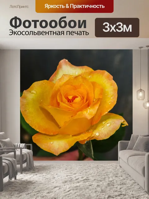 Фотообои Роза в саду