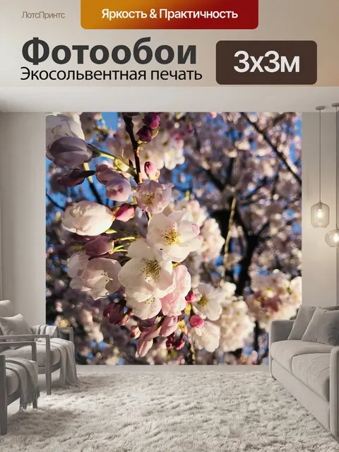 Фотообои Сакура