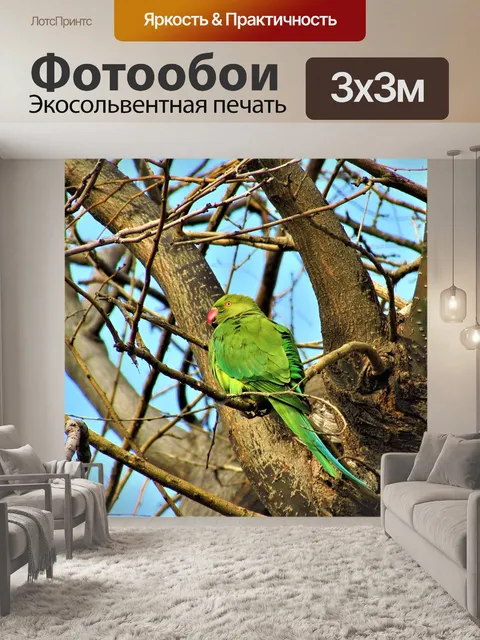 Фотообои Дерево