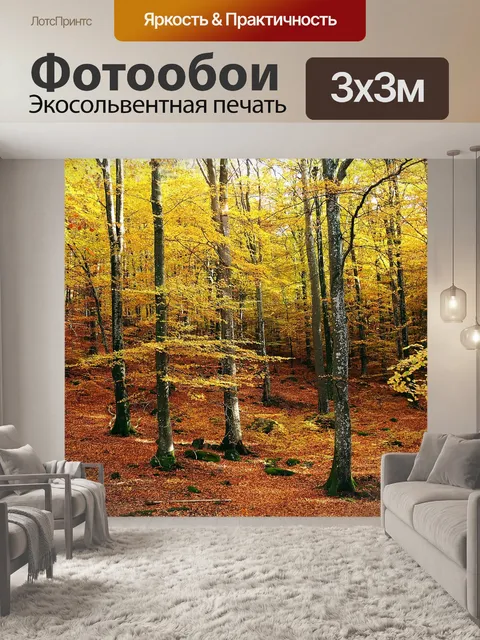 Фотообои Буковый лес