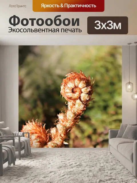 Фотообои Листья папоротника