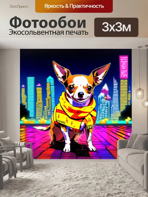 Фотообои изображение чихуахуа