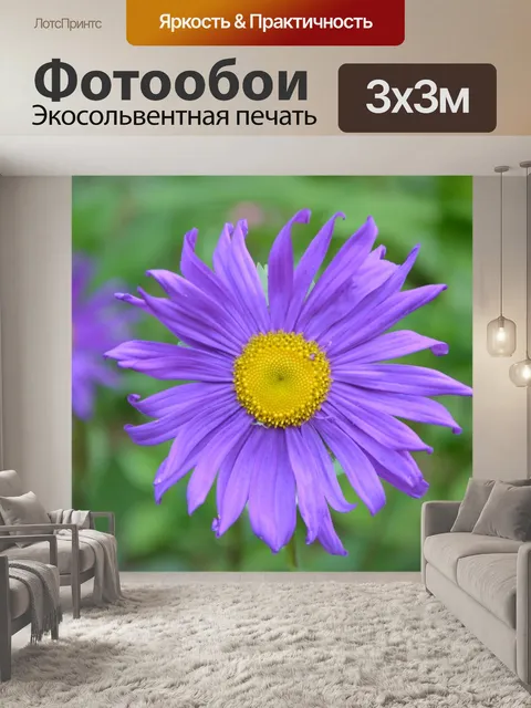 Фотообои Цветы
