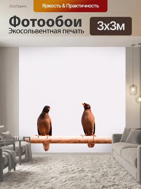 Фотообои Птицы