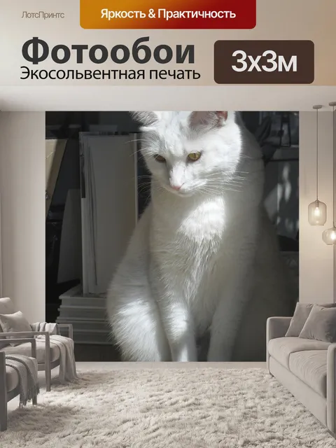 Фотообои Кошка