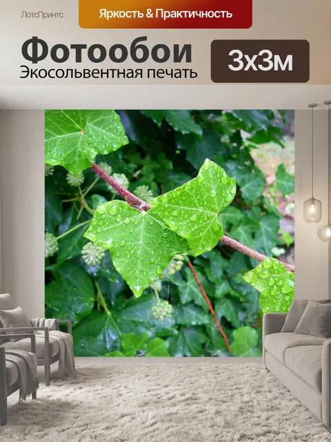 Фотообои Листья