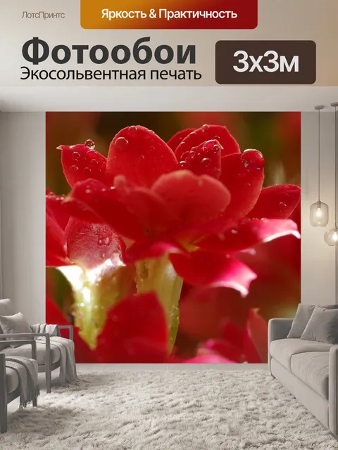 Фотообои Красный