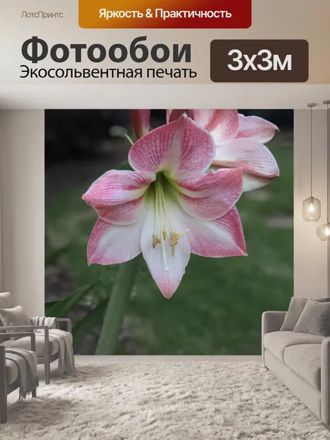Фотообои Лили