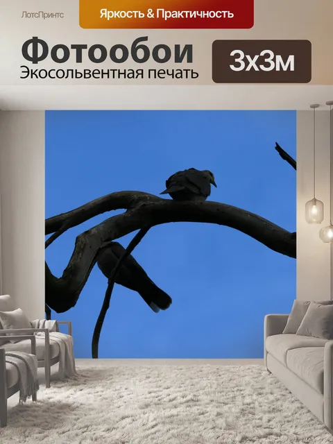 Фотообои Два голубя на витой отрасли