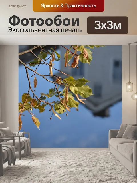 Фотообои Осень