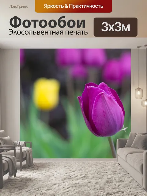 Фотообои Цветы