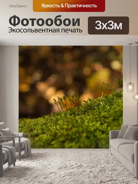Фотообои Мосс