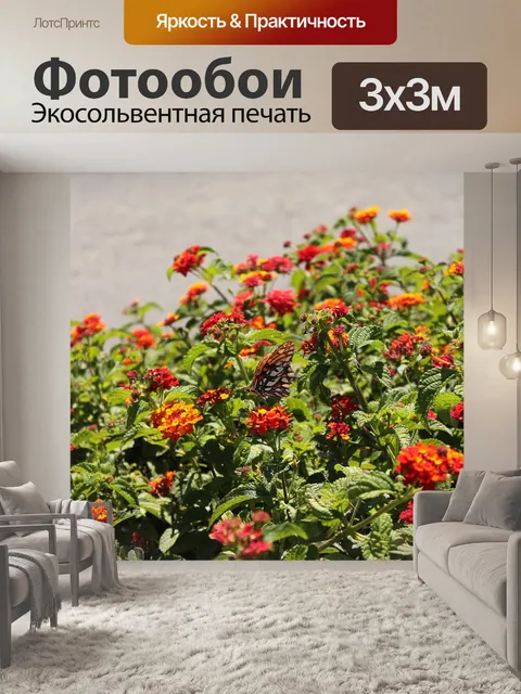 Фотообои Цветы