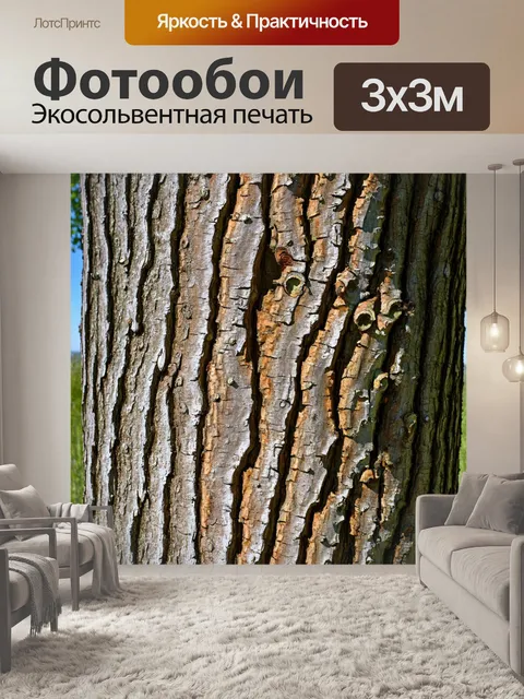 Фотообои прованс, где шершавая текстура коры дерева отображает время