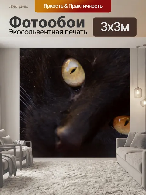 Фотообои Смотреть