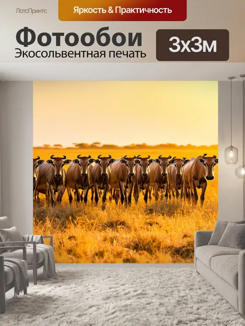 Фотообои животные, стадо диких животных на африканской саванне на закате, с ярким небом и золотыми травами