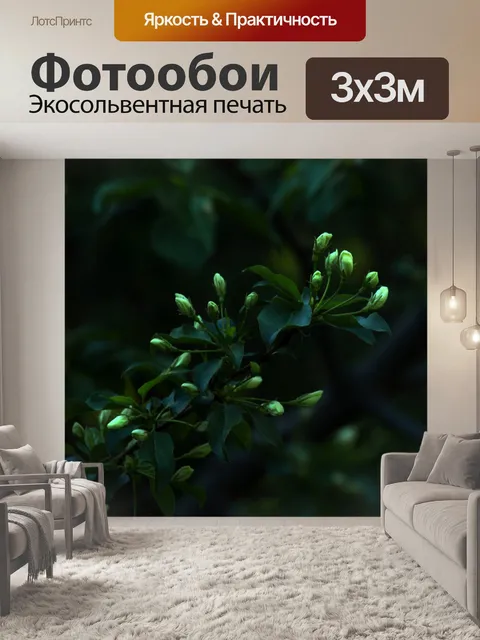 Фотообои Бутон