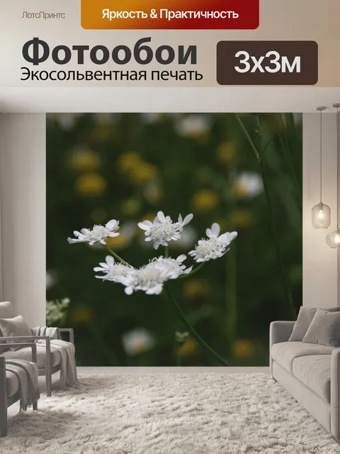 Фотообои Маленькая королева Анна с кружевным поле