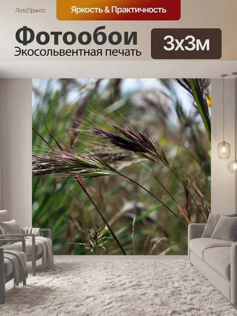 Фотообои Природа
