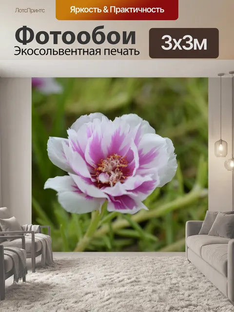 Фотообои Цветы