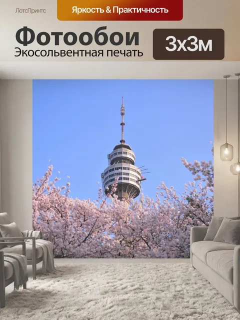 Фотообои Южная корея