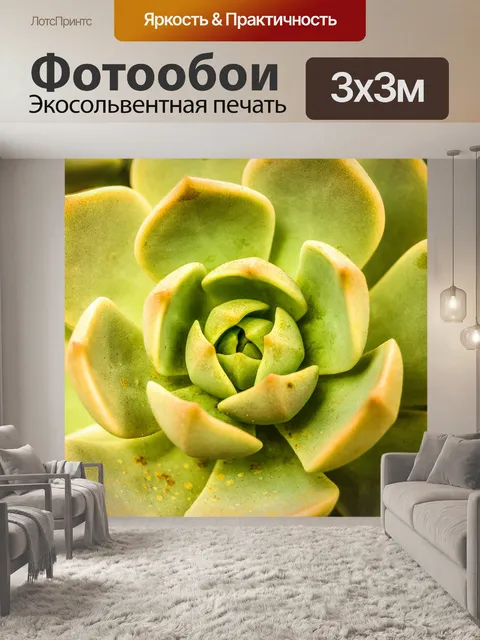 Фотообои Кактусовое пустынное растение