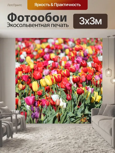 Фотообои Тюльпаны