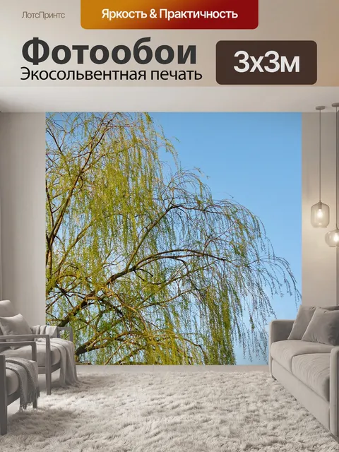 Фотообои Ветви