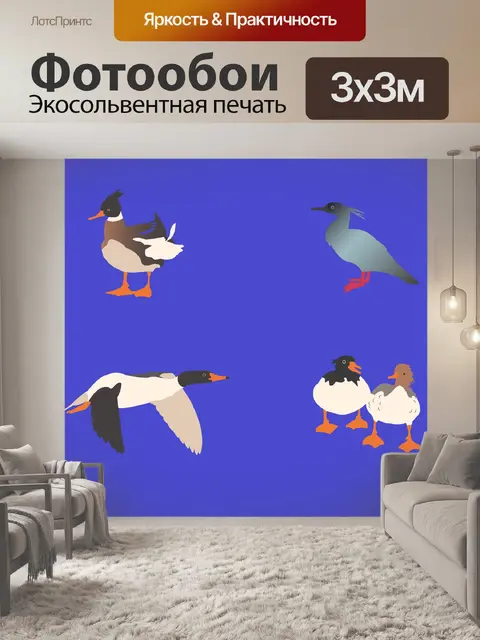 Фотообои Ducks