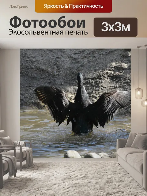 Фотообои Птица