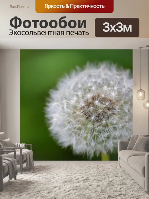 Фотообои Одуванчики