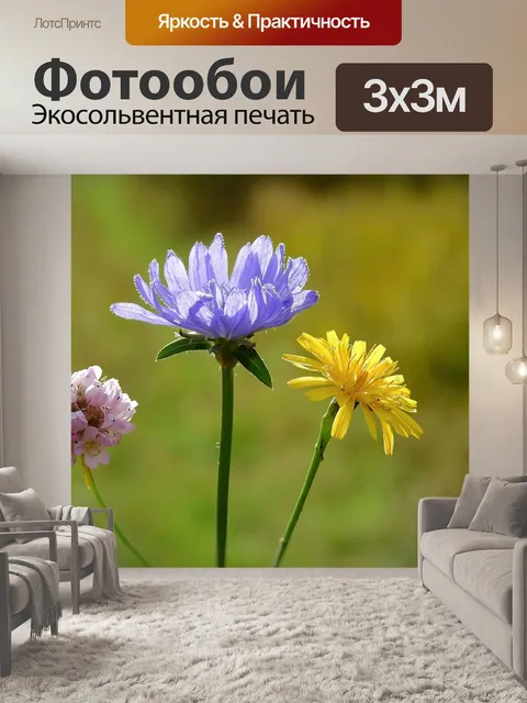 Фотообои Луг