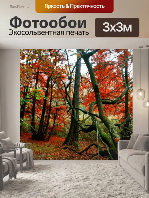 Фотообои Осень